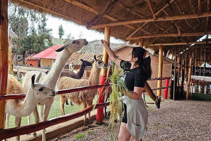 Cusco: Alpaka- und Lamafarm-Tour mit Transfer- und Webdemo