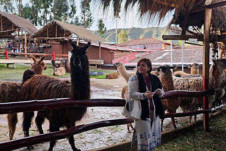 Cusco: Alpaka- und Lamafarm-Tour mit Transfer- und Webdemo