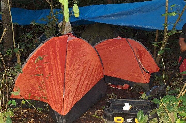 Expédition Amazon Untamed 3 jours et 2 nuits Pacaya Samiria