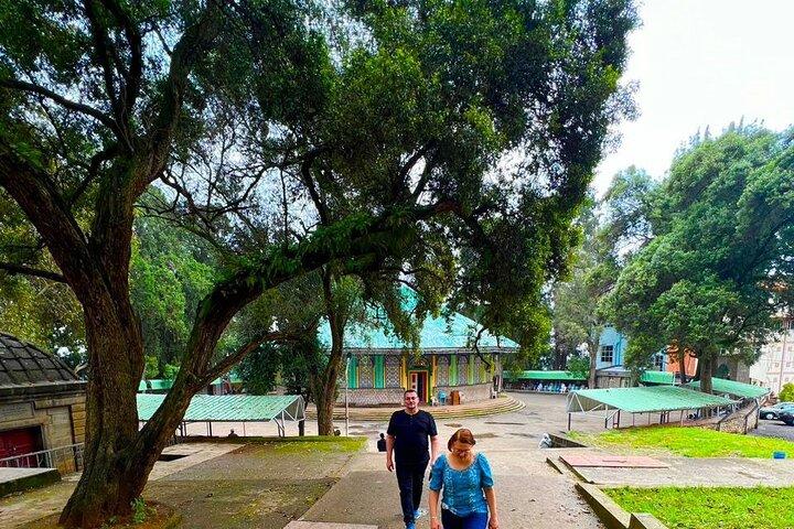 Addis Abeba Privéstadstour met meeslepende kookleslunch