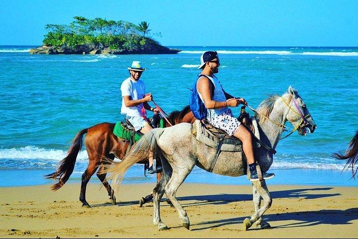 Horseback Ride Tour on the Beach in Puerto Plata