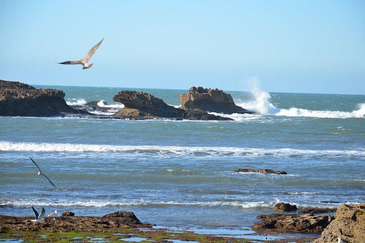Essaouira Delight: A Marrakech Day Escape