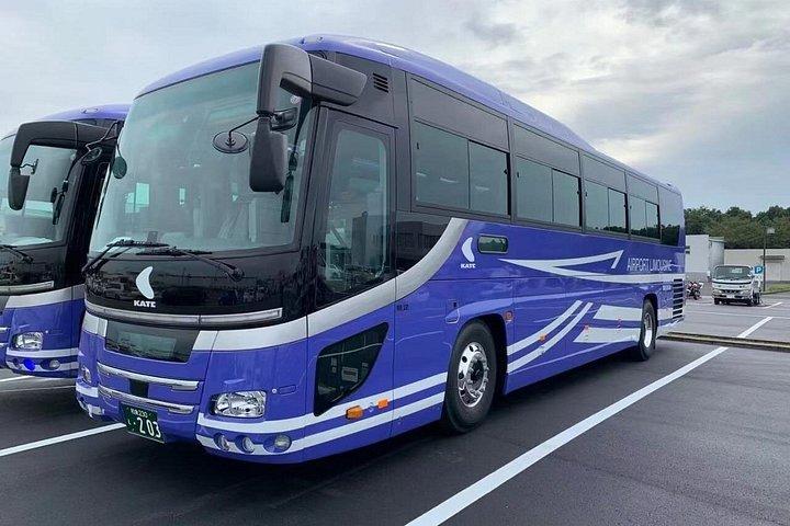 成田空港から日本のハチ公市までのプライベート送迎