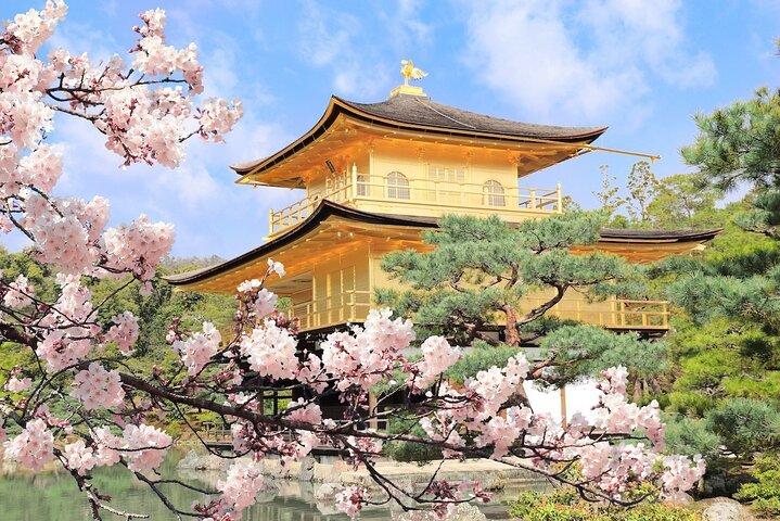 Tour dei punti salienti di Osaka e Kyoto con esperienza di kimono tradizionale