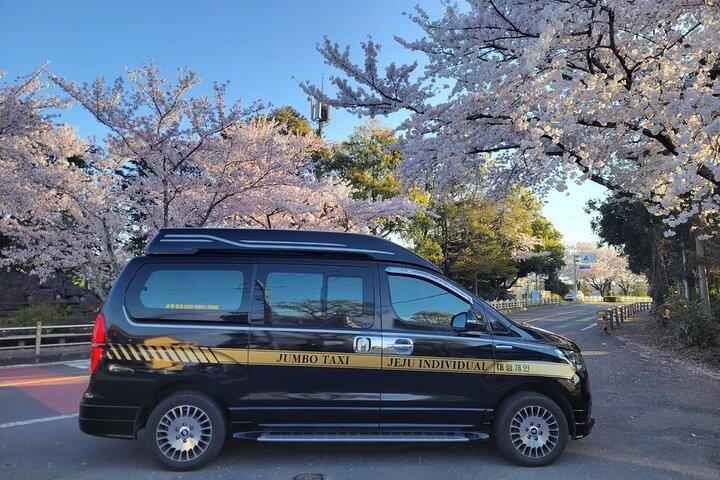 Private Day Tour Manjanggul Cave & Easten tour in jeju island