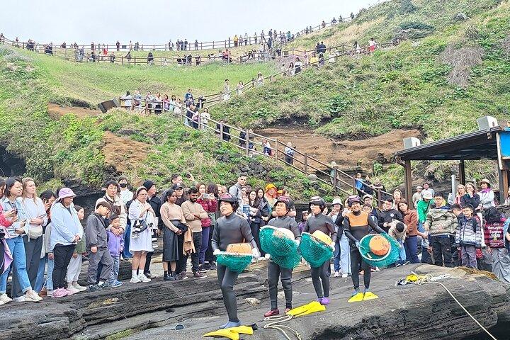 プライベートツアー女性ダイバーパフォーマンス＆済州島ストーンパーク