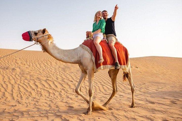 1Hour Red Dunes Desert Buggy Adventure with Camel Ride Experience