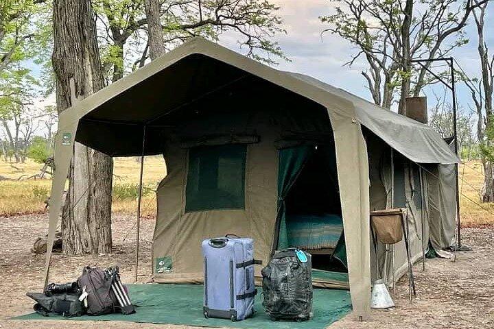 Avventura di 2 giorni nella natura selvaggia: campeggio notturno nel parco di Chobe