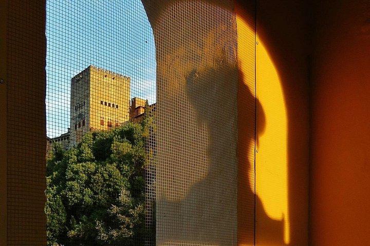 Grenade et l'Alhambra - Visite historique privée de 2 jours