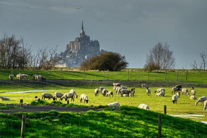 2 timmars privat vandringstur i Mont Saint Michel