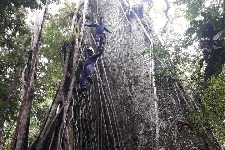 アマゾン パラダイス パカヤ サミリア国立保護区 4泊5日