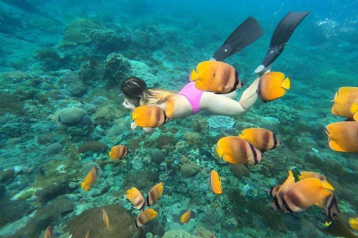 Nusa Penida 3 - Schnorchelabenteuer mit Mantarochen