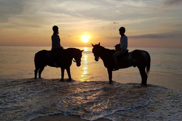 Promenade à cheval sur Sunset Beach à Phuket