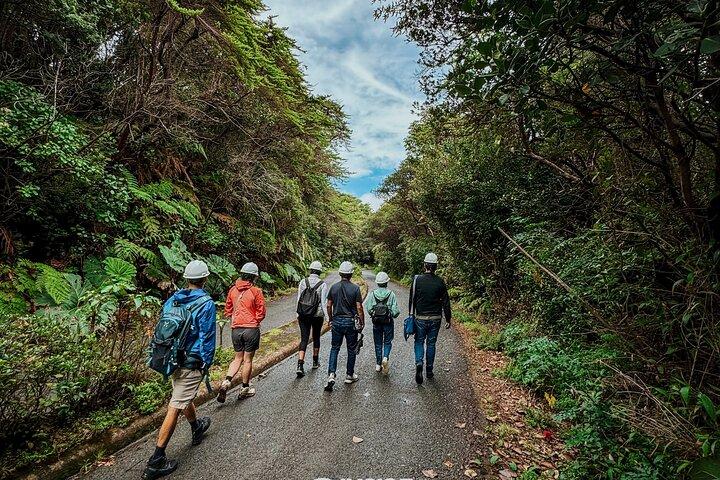Tour Vulcão Poás e Café com Degustação e Cachoeira La Paz