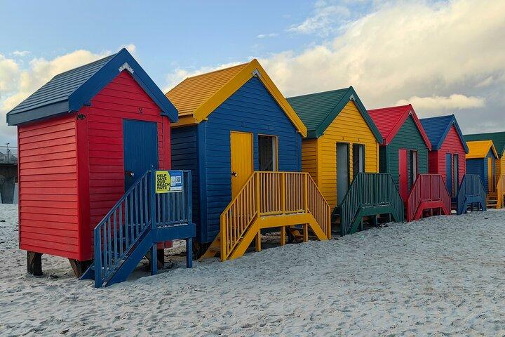Cape Peninsula Tour
