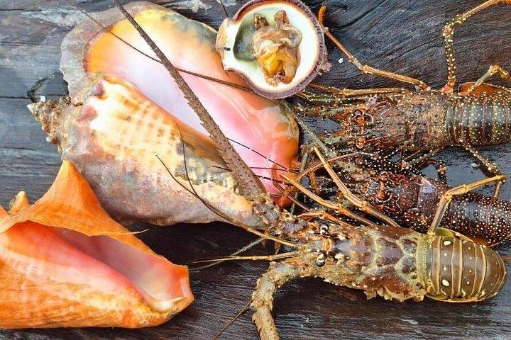 San Blas Day Trip (Transfers & Lunch included)