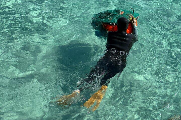 Tour per piccoli gruppi nell'isola di guarigione di East Jeju con spettacolo di immersioni femminili