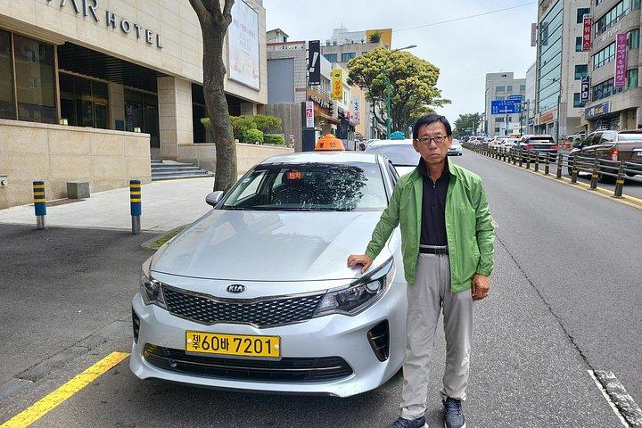 済州市港に到着するクルーズ客向けの半日または日帰りツアー