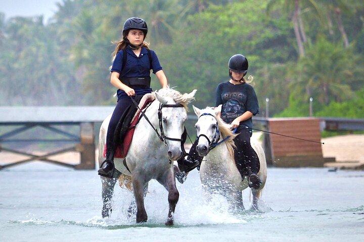Équitation et sentiers de plage à Koh Samui