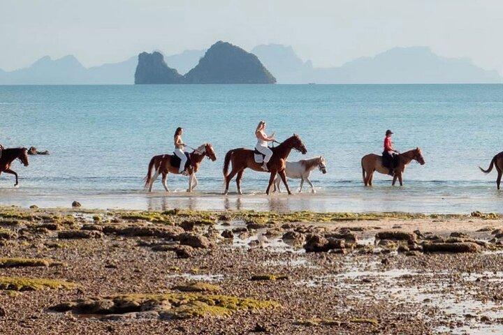 Équitation et sentiers de plage à Koh Samui