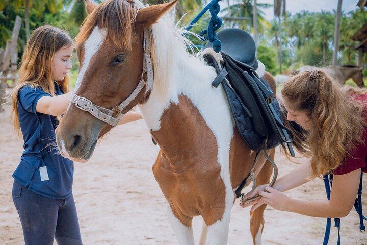 Équitation et sentiers de plage à Koh Samui