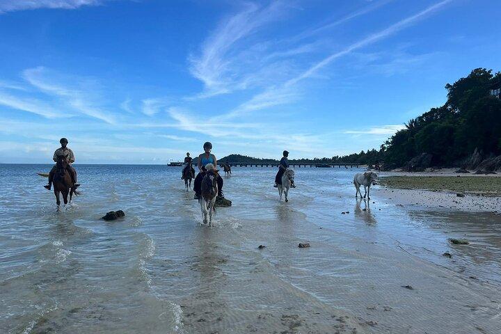 Équitation et sentiers de plage à Koh Samui