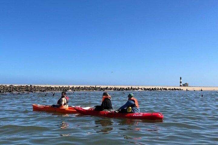 Kayak con focas en Pelican Point desde Walvis Bay