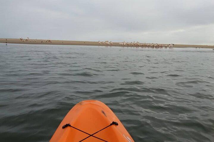 Robbenkajak & Sandwich Harbour Tour