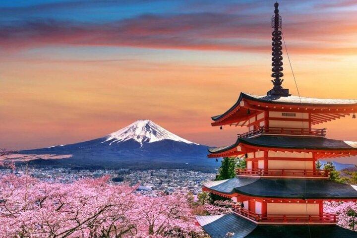 東京・富士山プライベート英語ガイド付き日帰りツアー