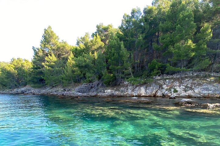Experiencia en el archipiélago de Zadar con la excursión compartida en velero de Antares