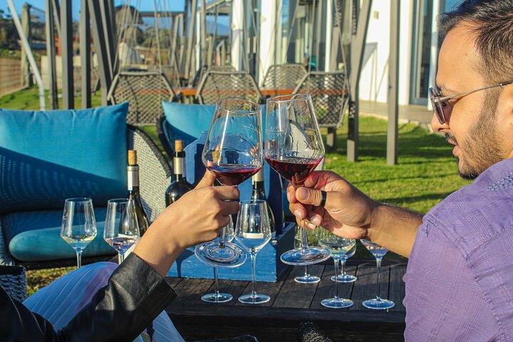 Visite as vinícolas de Constantia + praias de Muzenberg Noordhoek F/D