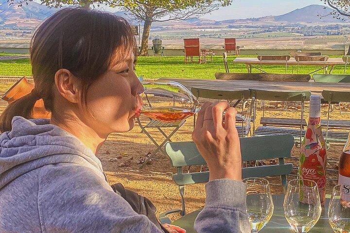 Visite as vinícolas de Constantia + praias de Muzenberg Noordhoek F/D