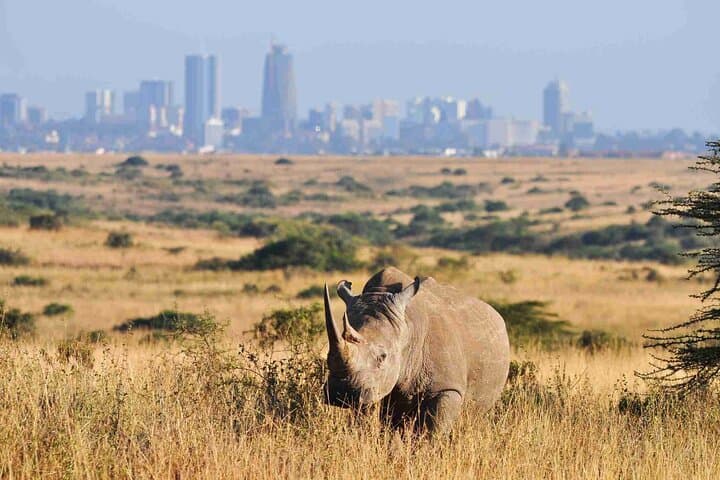 9 Days African Wild Safari and Beach Tour