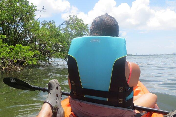 Kayak Ecotourisme dans la baie de Miami