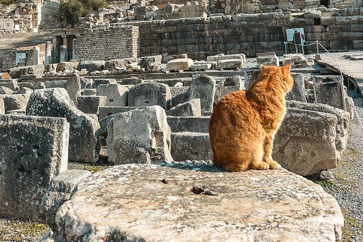 Private Half Day Ephesus and Temple of Artemis Tour