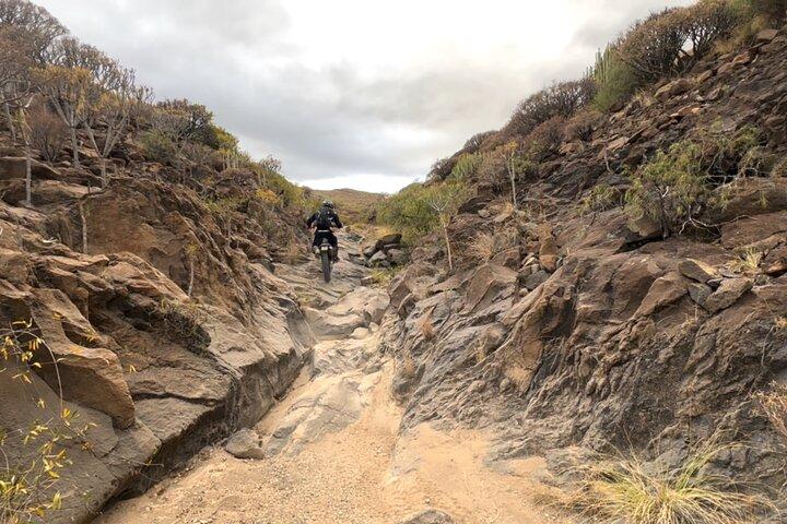 Excursion privée en moto à Tenerife