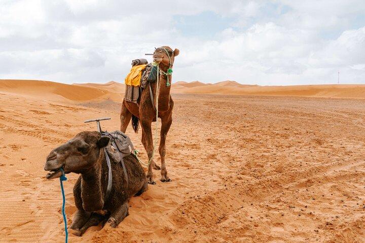 2 Night In Merzouga Desert Camp & 4x4 Excursion to Explore around