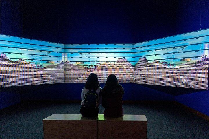 Museo de Arte de Lima - MALIのガイド付きプライベートツアー