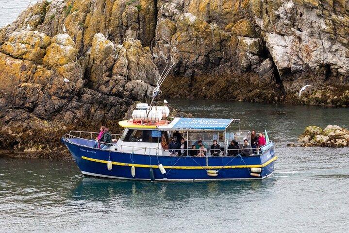 Ferry to Ireland's Eye in Howth