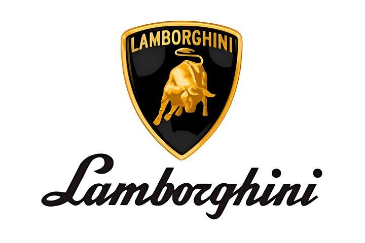 Tour per Musei di Ferrari Lamborghini e Pagani da Modena