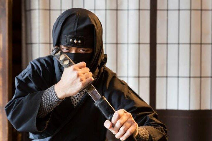 De Nagoya : mythes et mystères de Ninja et de la route du Tokaido