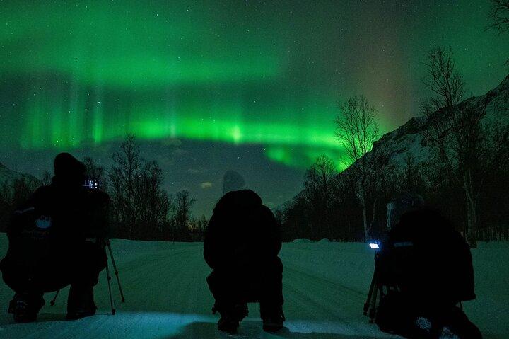 Tromsö: Express Aurora Hunt med vandrande uggla