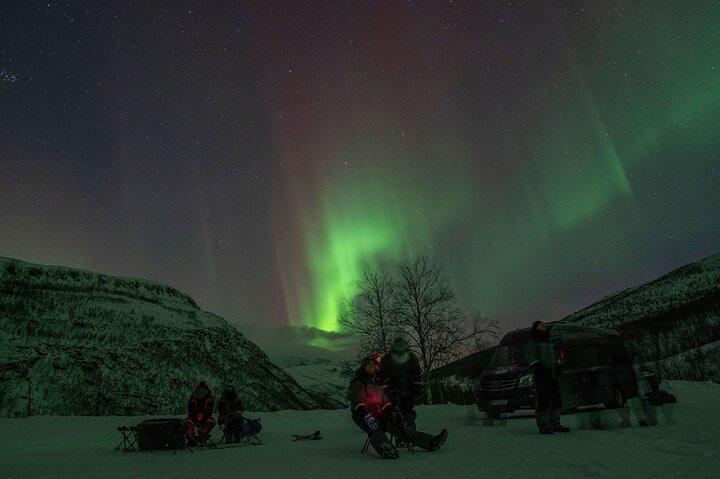 Tromsö: Express Aurora Hunt med vandrande uggla