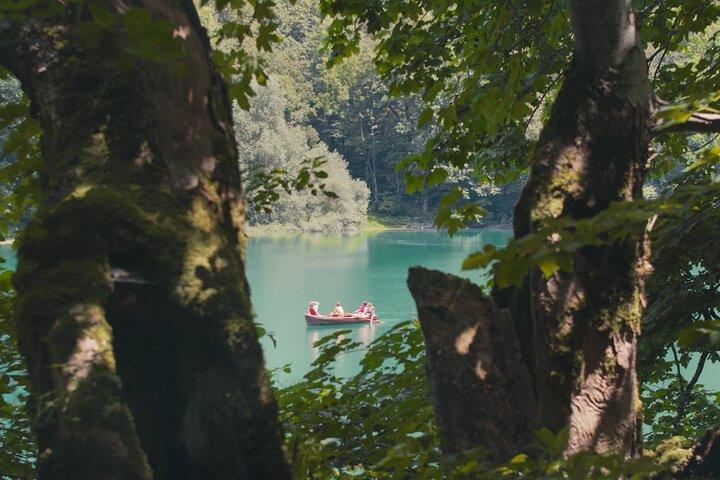 Excursion d'une journée dans le parc national de Durmitor ou Biogradska Gora au départ de Podgorica