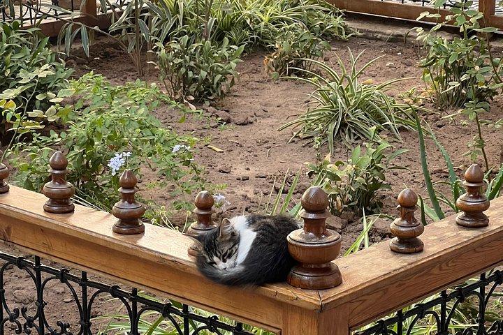 Marrakech Small-Group Walking Tour: Bahia Palace, Medina & Souks
