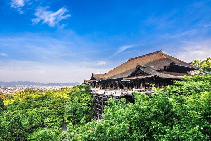 Privat guidet dagstur i Kyoto