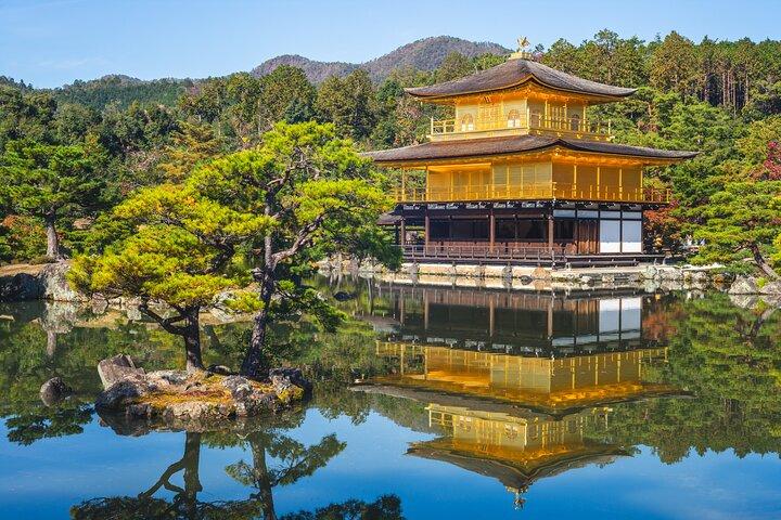 Privat guidet dagstur i Kyoto