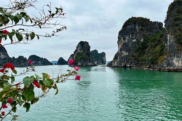 Ontdek Bai Tu Long Bay tijdens een nachtelijke cruise