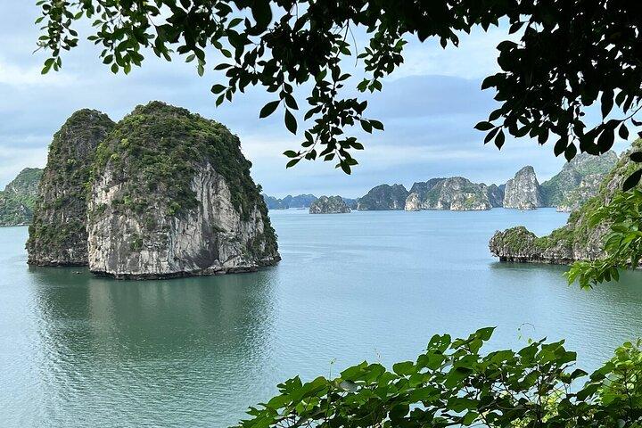 Ontdek Bai Tu Long Bay tijdens een nachtelijke cruise