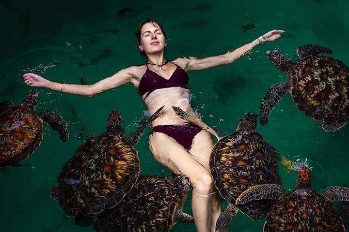 ザンジバルのムネンバ、バラカ、ジョザニ、クザ、ザ ロックを発見する